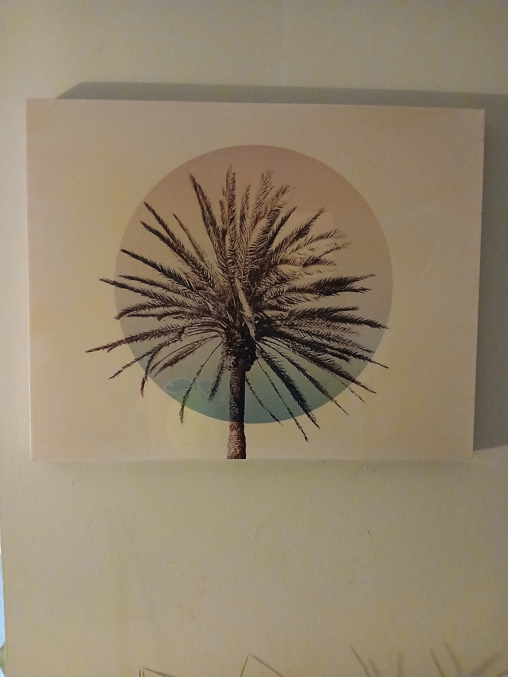 Palm Tree Circle Wall Art - Neutral Tones 32"×24" - Picture 2 of 2